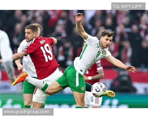 匈牙利与冰岛足球对决精彩回顾及赛后分析